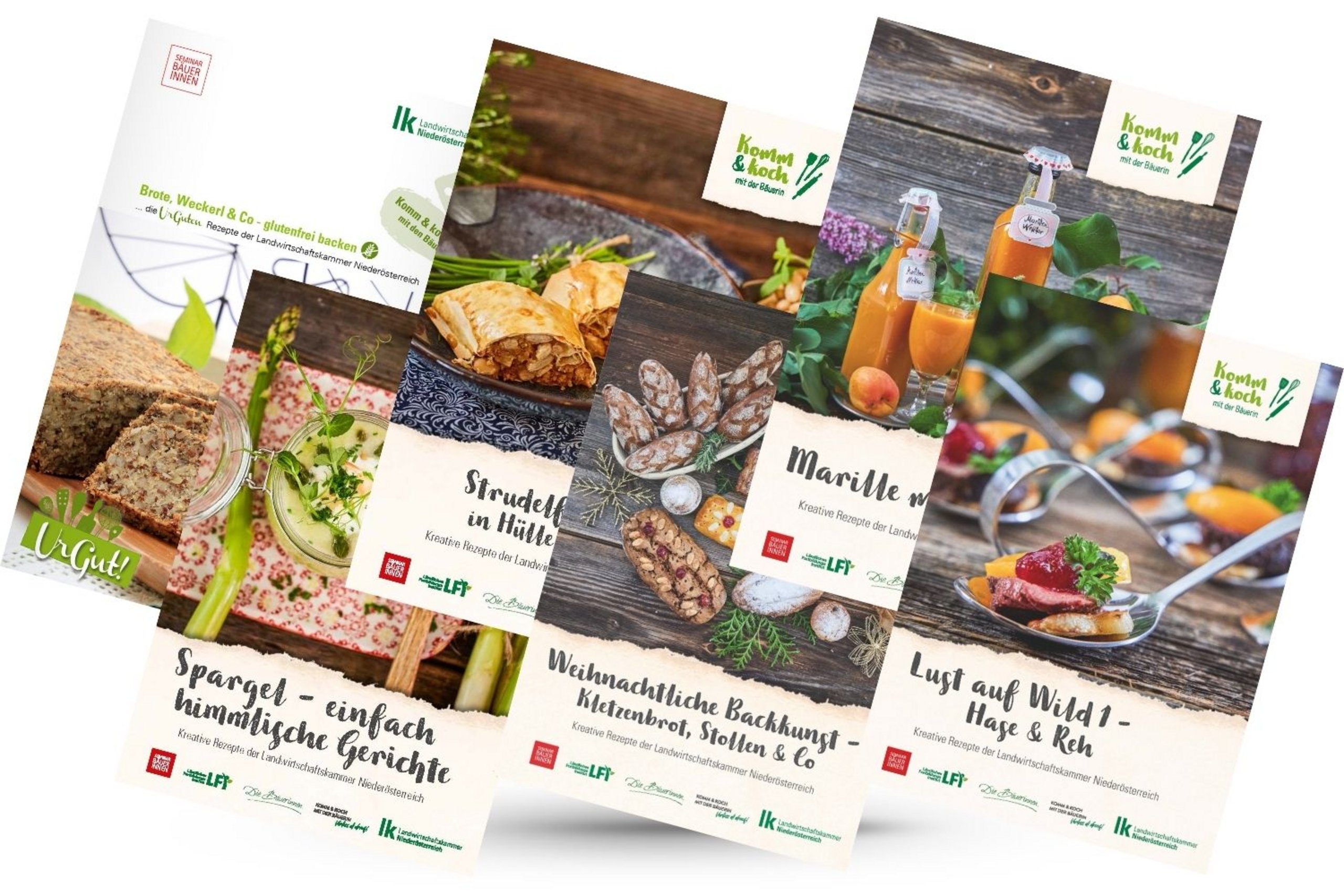 Rezeptbroschüren Neu 2026
