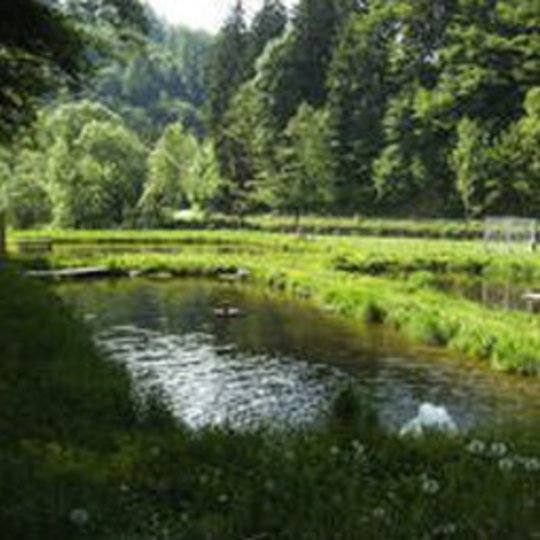 Fischzucht Pöcksteiner Titelbild