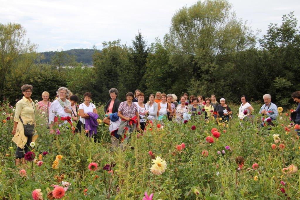 Exkursion in die Steiermark @Elisabeth Heidegger